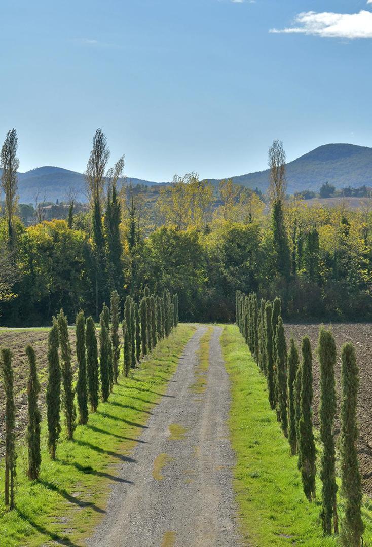Podere La Querciola Гуардисталло Экстерьер фото